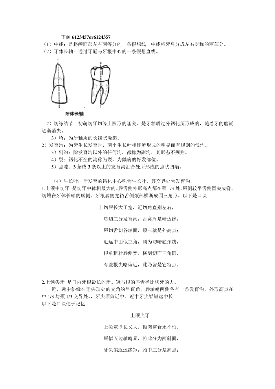 口腔解剖生理学重点整理_第3页