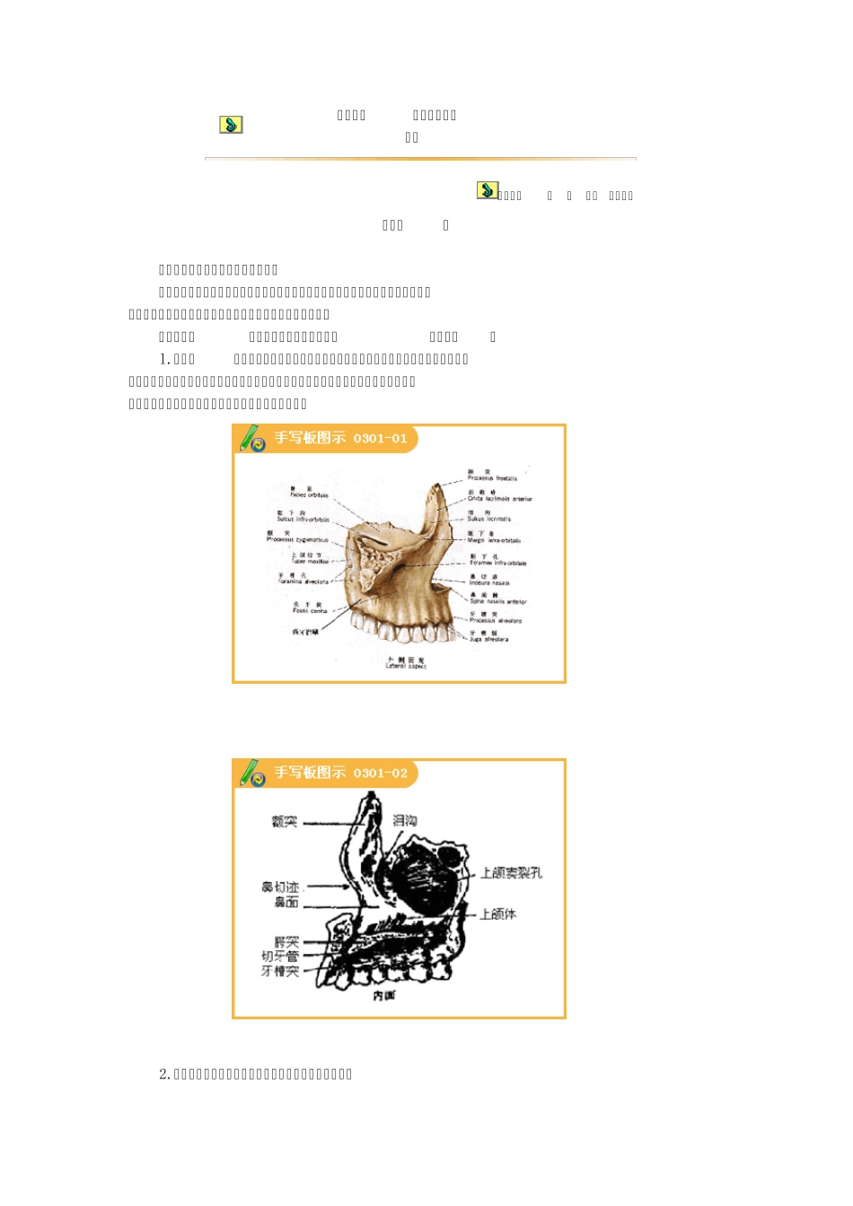 口腔颌面颈部解剖_第1页