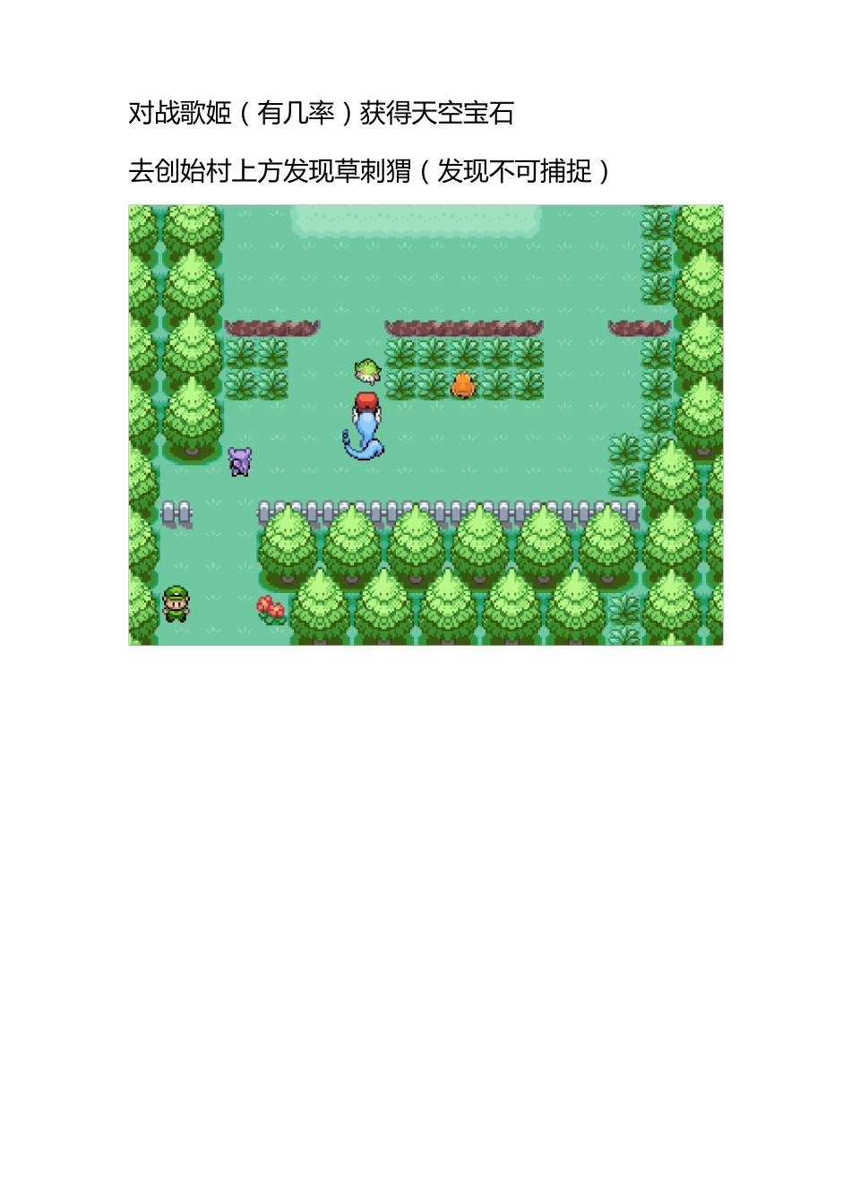 口袋妖怪奇幻旅程神兽捕捉篇+特典修改+数字密码+密技_第2页