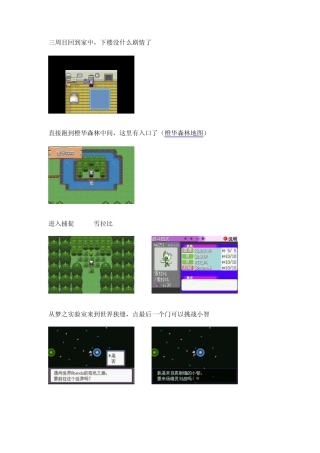 口袋妖怪漆黑的魅影5.0攻略(三周目)