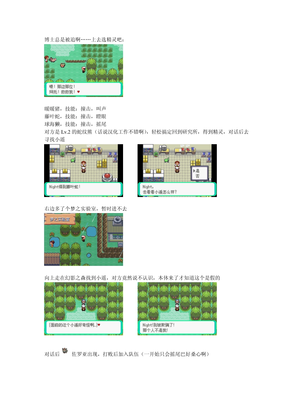 口袋妖怪漆黑的魅影图文攻略_第2页