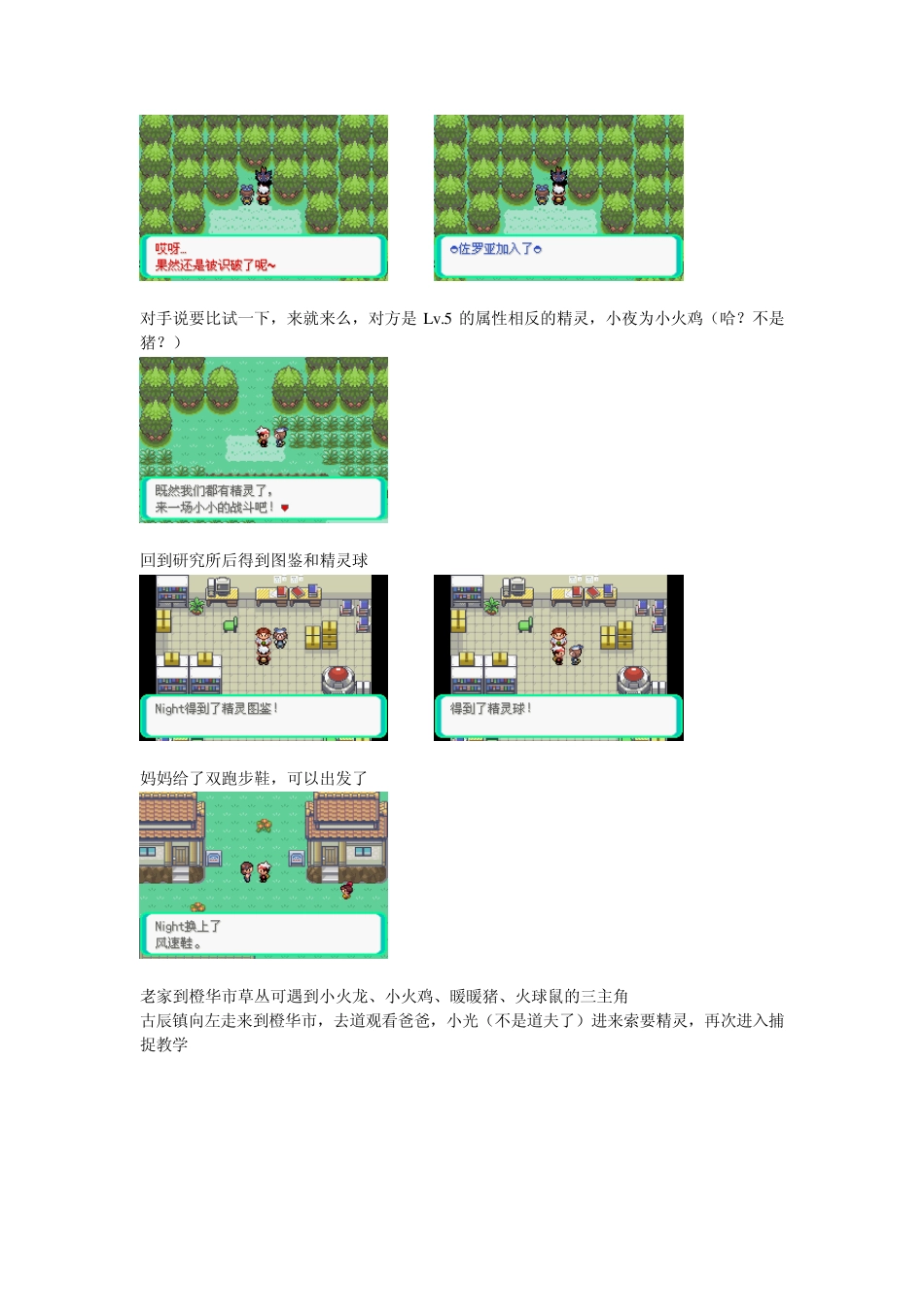 口袋妖怪漆黑的魅影图文攻略_第3页