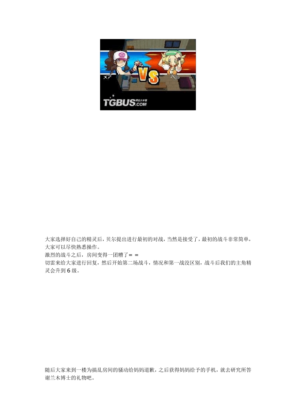 口袋妖怪白完整图文攻略_第3页