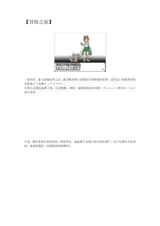 口袋妖怪白完整图文攻略