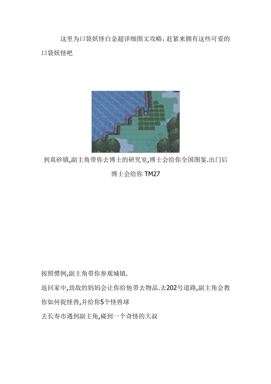 口袋妖怪白金图文攻略_第1页