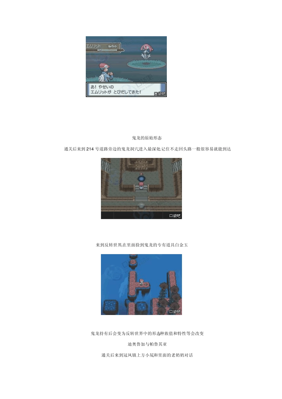 口袋妖怪白金通关后攻略_第3页