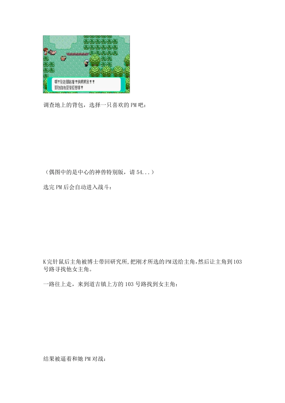 口袋妖怪绿宝石详细图文攻略22_第3页