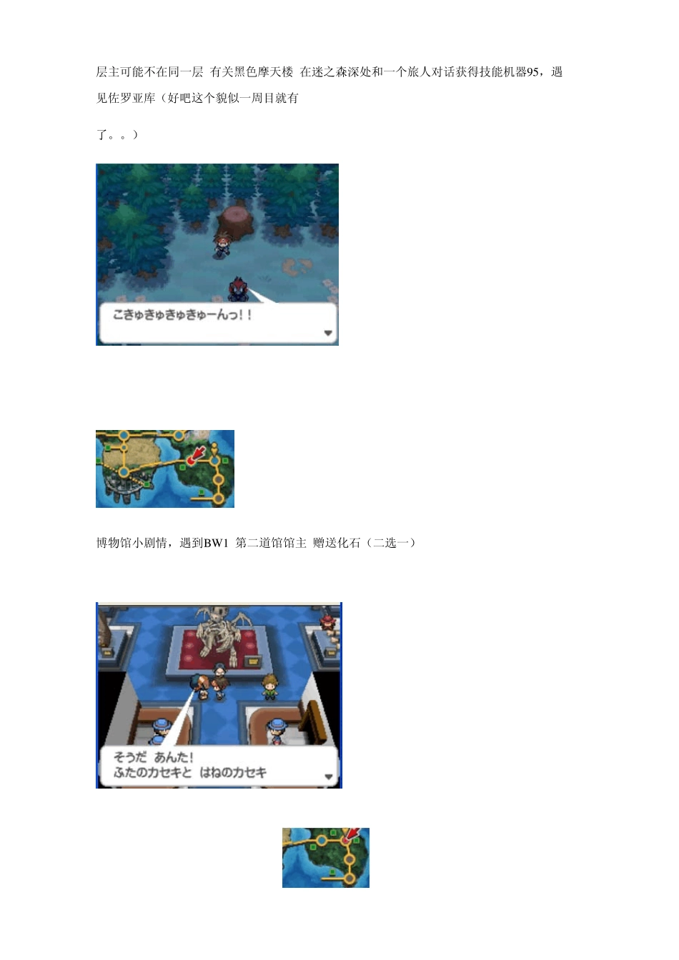 口袋妖怪黑白2二周目图文攻略_第3页