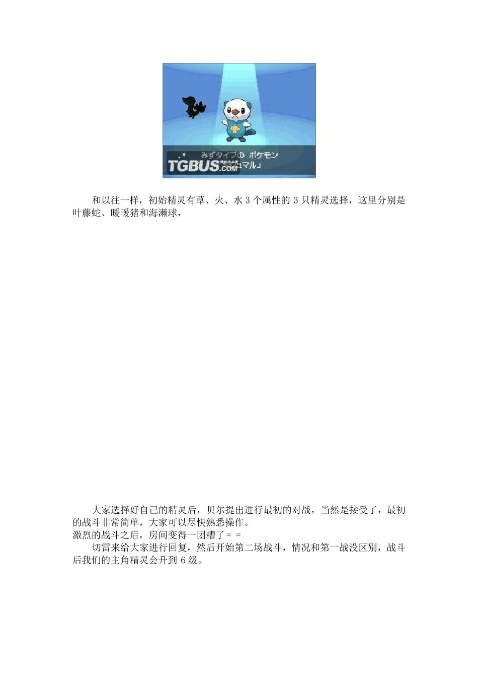 口袋妖怪黑白一周目完全攻略_第3页