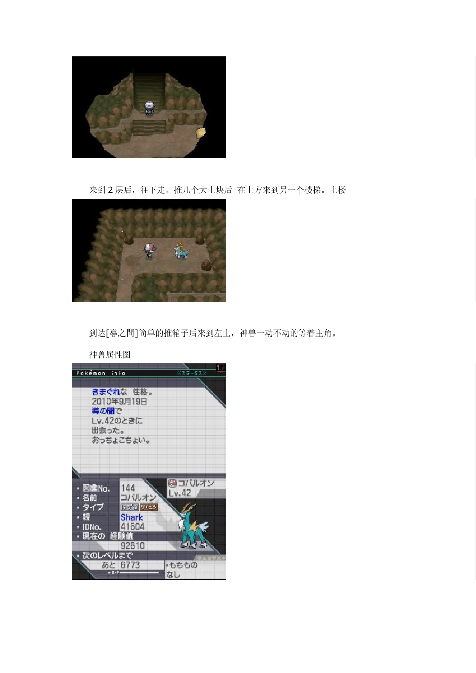 口袋妖怪黑白神兽捕捉攻略_第3页