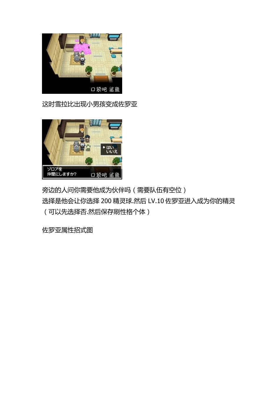 口袋妖怪黑白神兽捕捉图文攻略_第2页