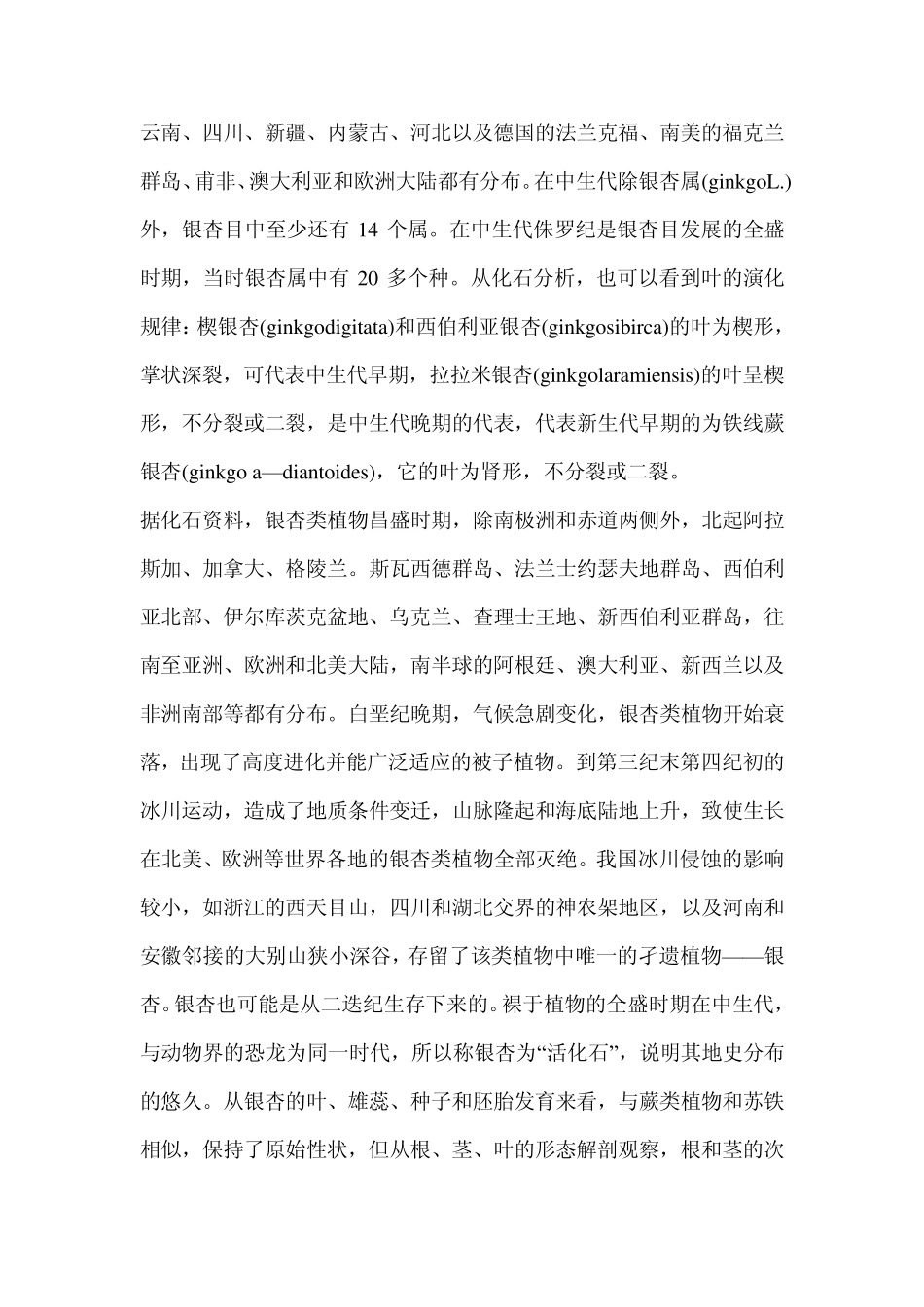 古树银杏树资料_第2页