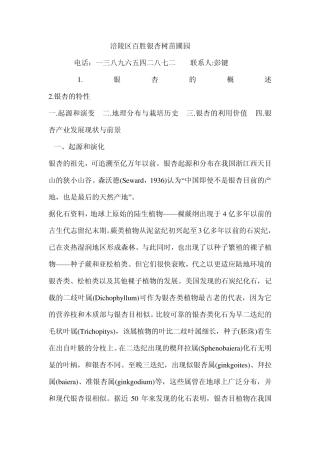 古树银杏树资料