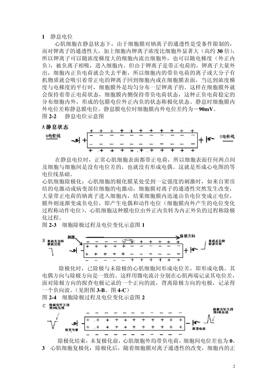 另类心电图学讲义21关于电生理知识与心电图...2_第2页