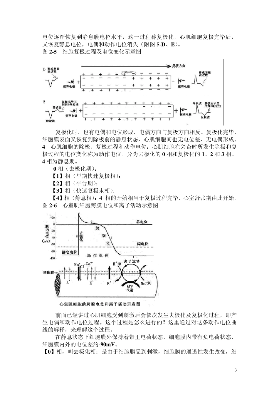 另类心电图学讲义21关于电生理知识与心电图...2_第3页