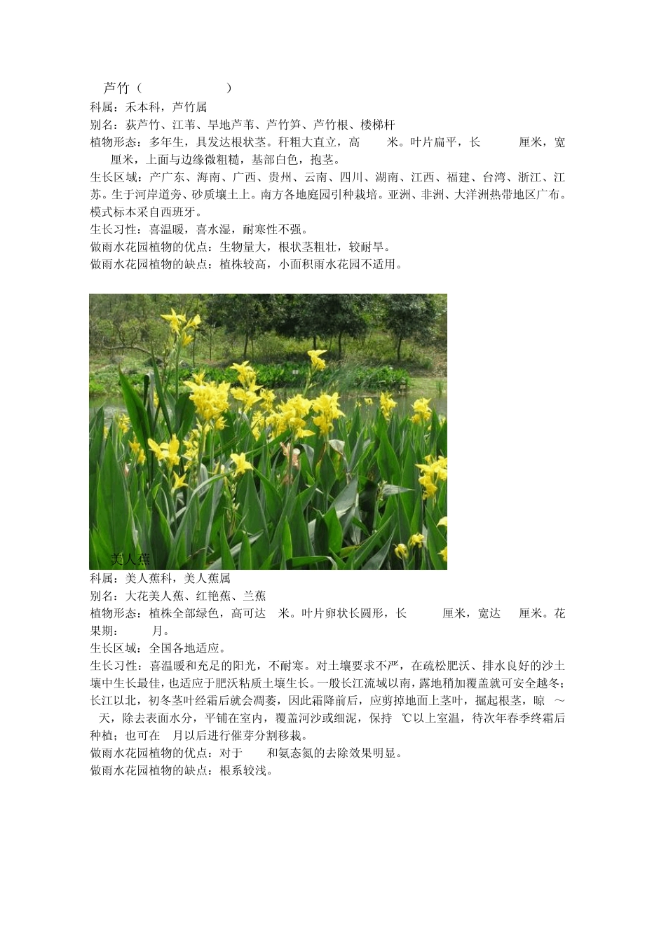 可供雨水花园使用的植物_第2页