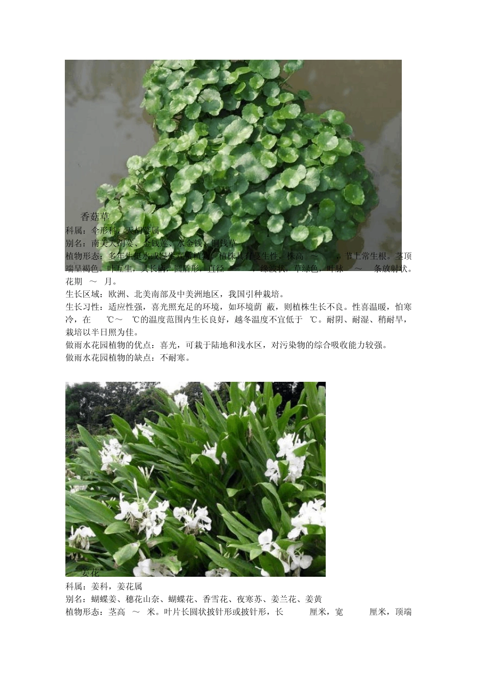 可供雨水花园使用的植物_第3页