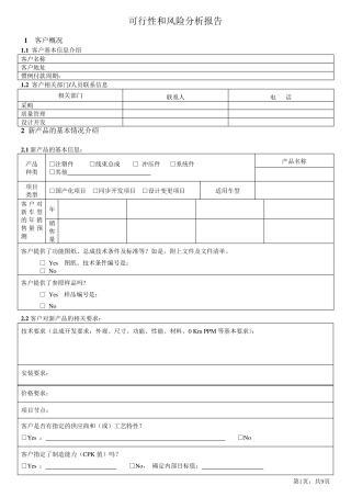 可行性和风险分析报告