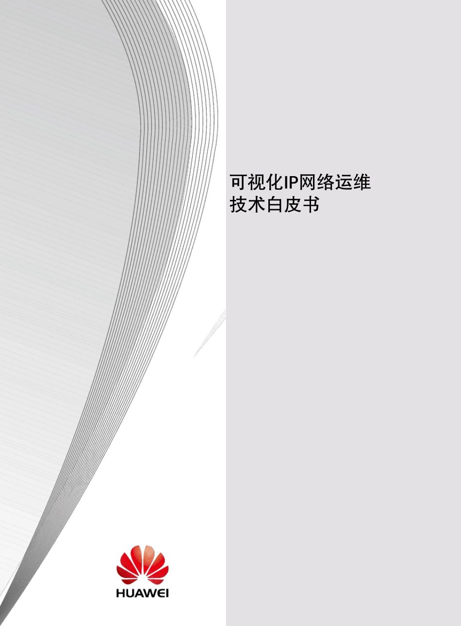 可视化ip网络运维技术白皮书_第1页