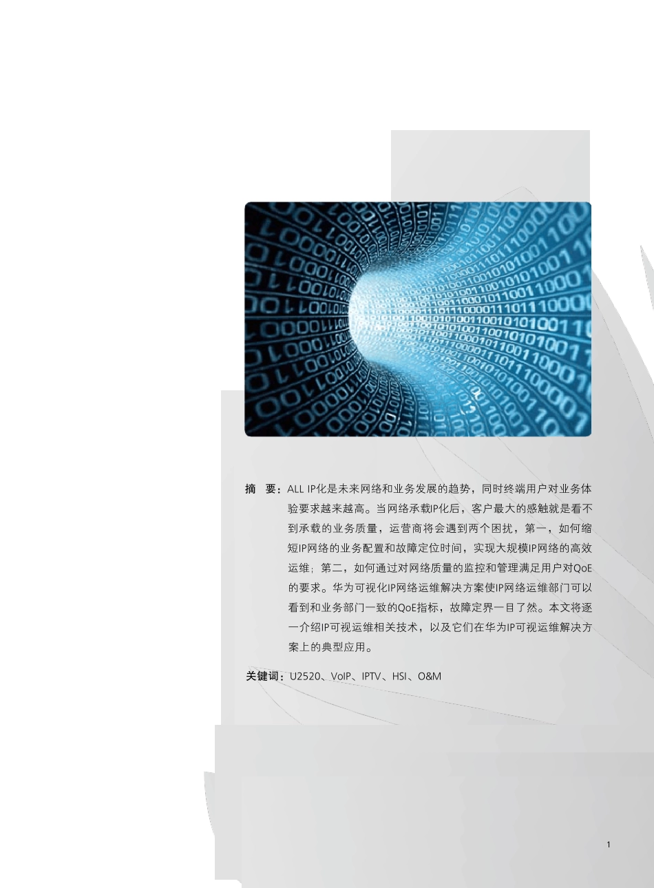 可视化ip网络运维技术白皮书_第3页