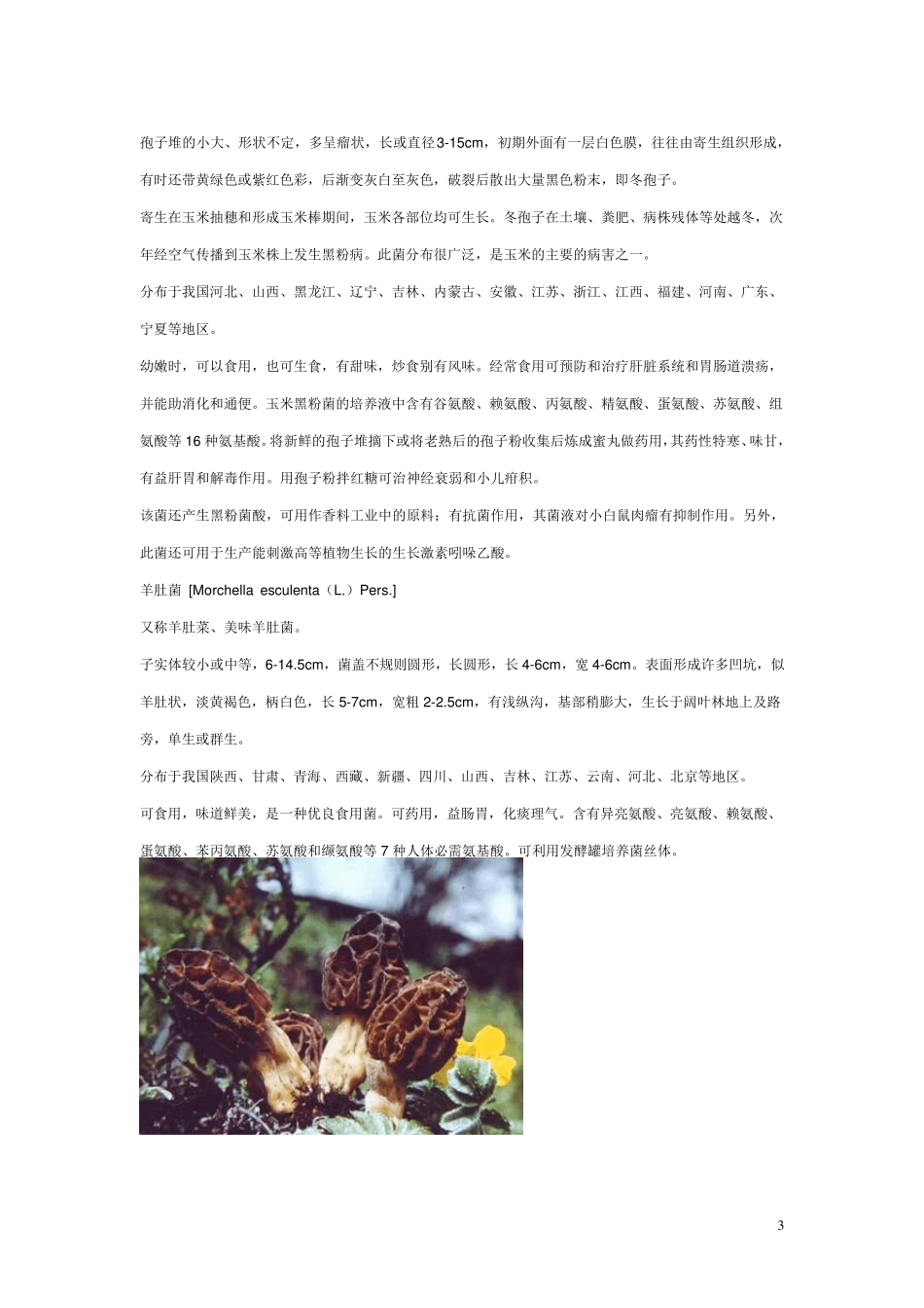 可食用真菌图片_第3页