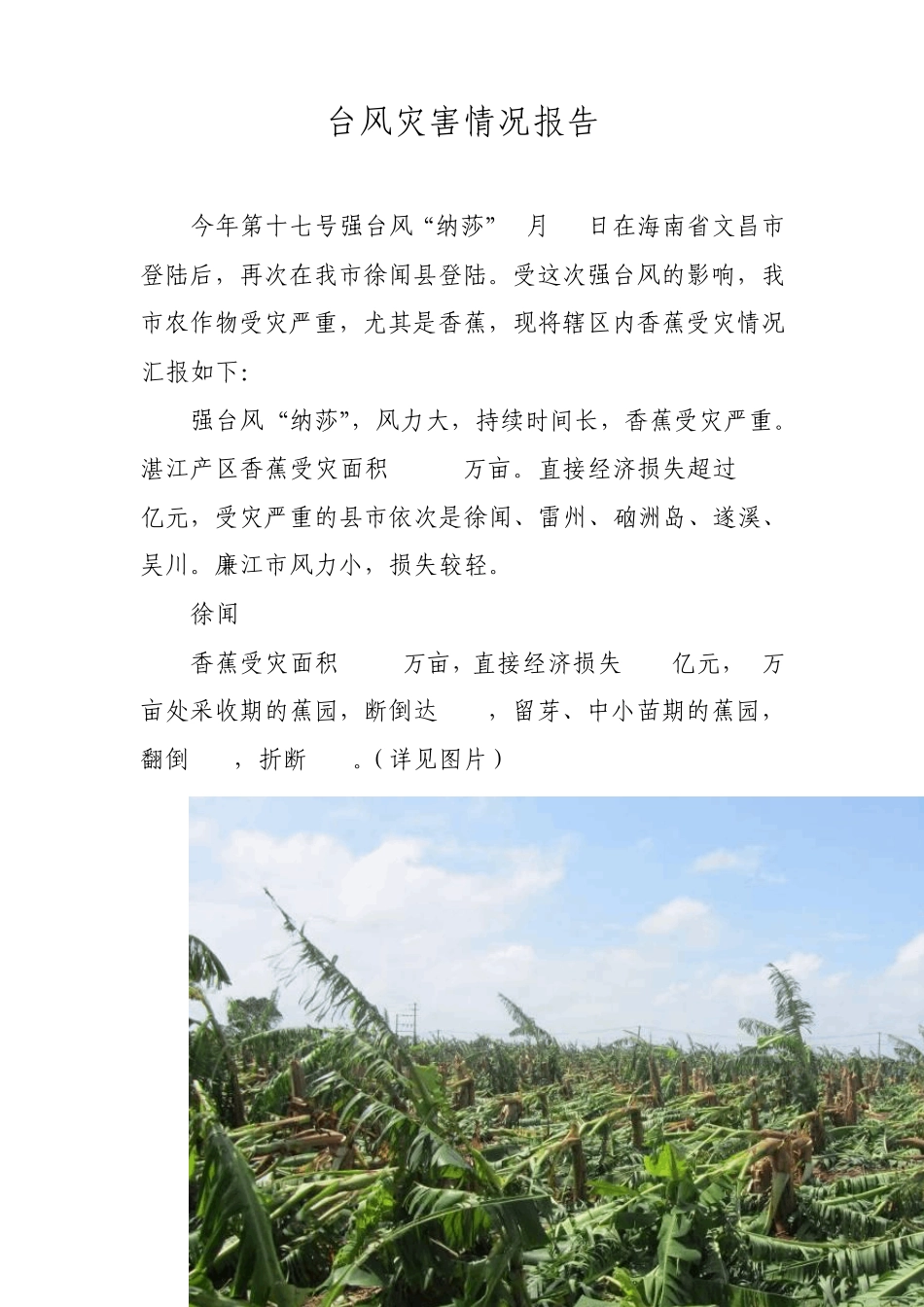台风灾害情况报告_第1页