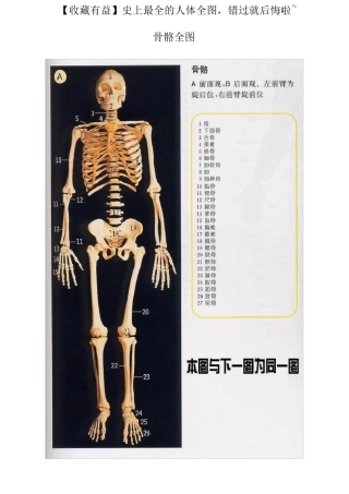 史上最全的人体全图