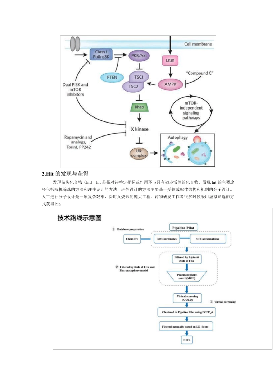 史上最全药物研发过程全解_第2页