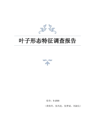 叶子形态特征调查报告