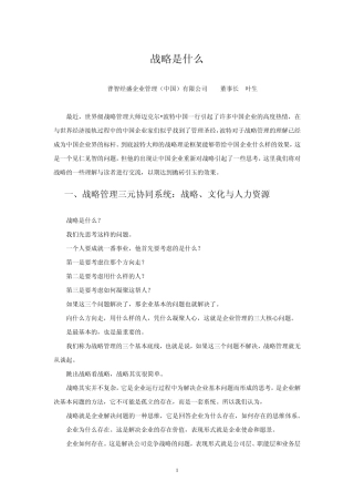 叶生战略是什么