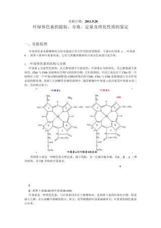 叶绿体色素的提取、分离、定量及理化性质的鉴定