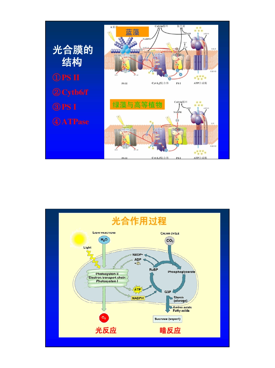 叶绿素荧光原理_第3页