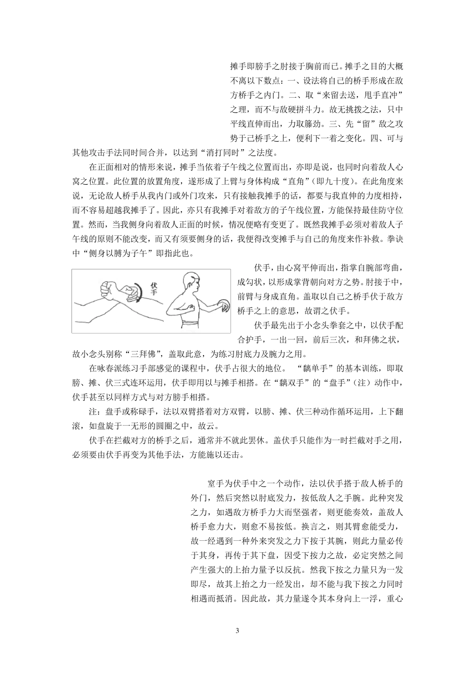 叶问亲传116式咏春木人桩法_第3页