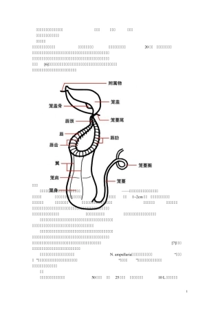 吃虫草(四种)资料