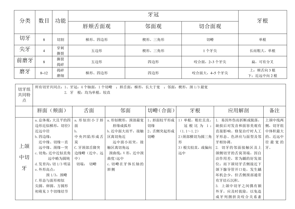 各个牙齿形态特点_第1页