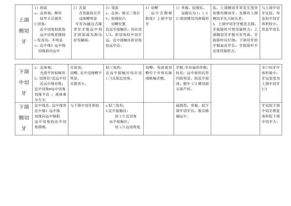 各个牙齿形态特点_第2页