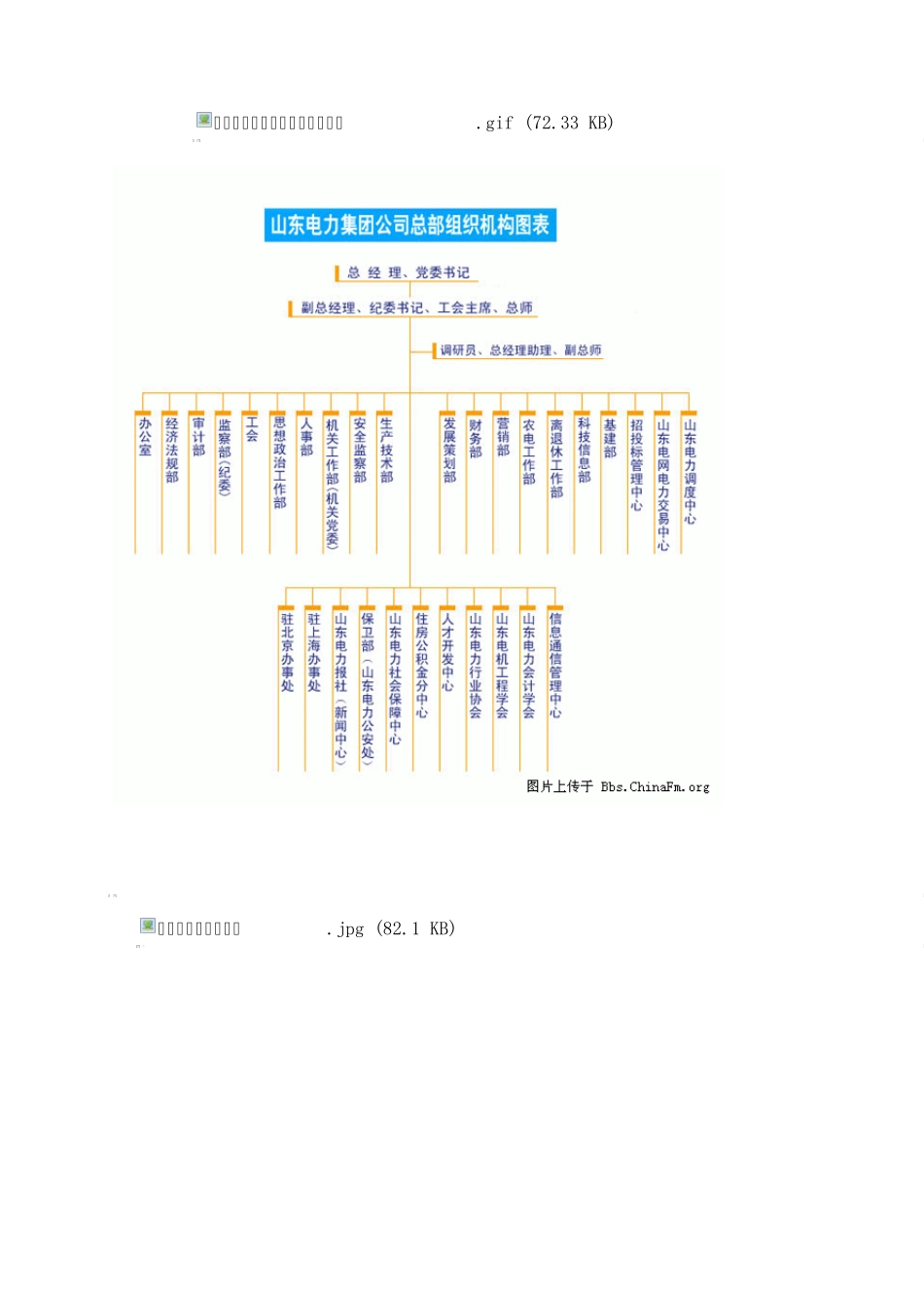 各公司组织架构图_第3页