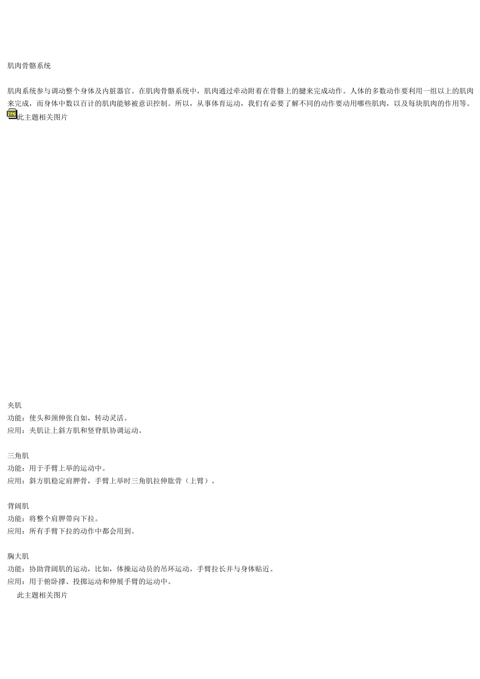 各块肌肉功能与图解_第1页
