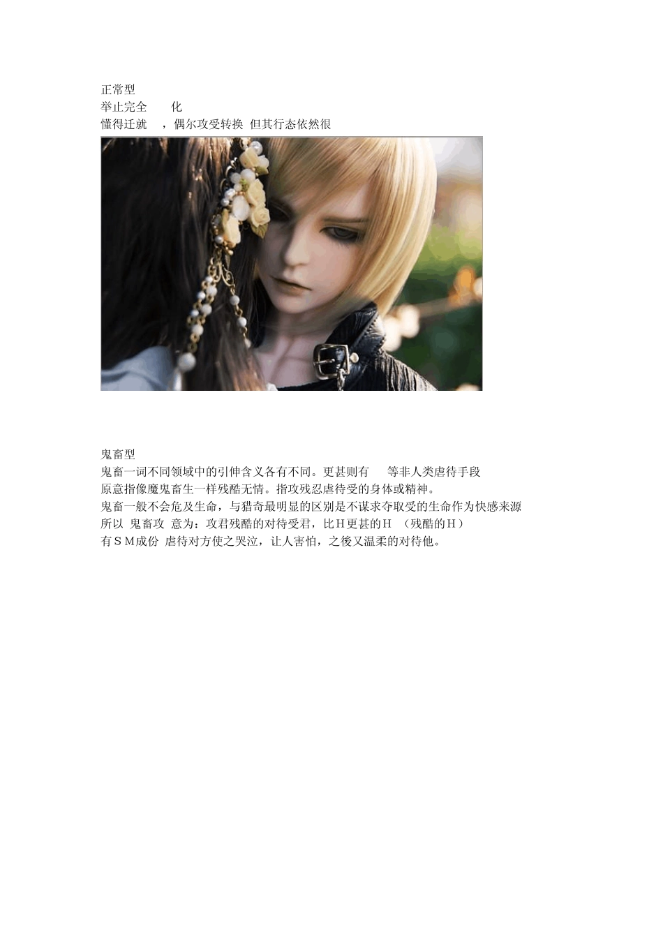 各种攻受类型配图说明_第1页