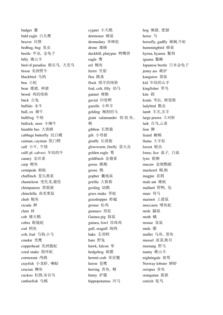 各种水果和动物英文单词_第2页