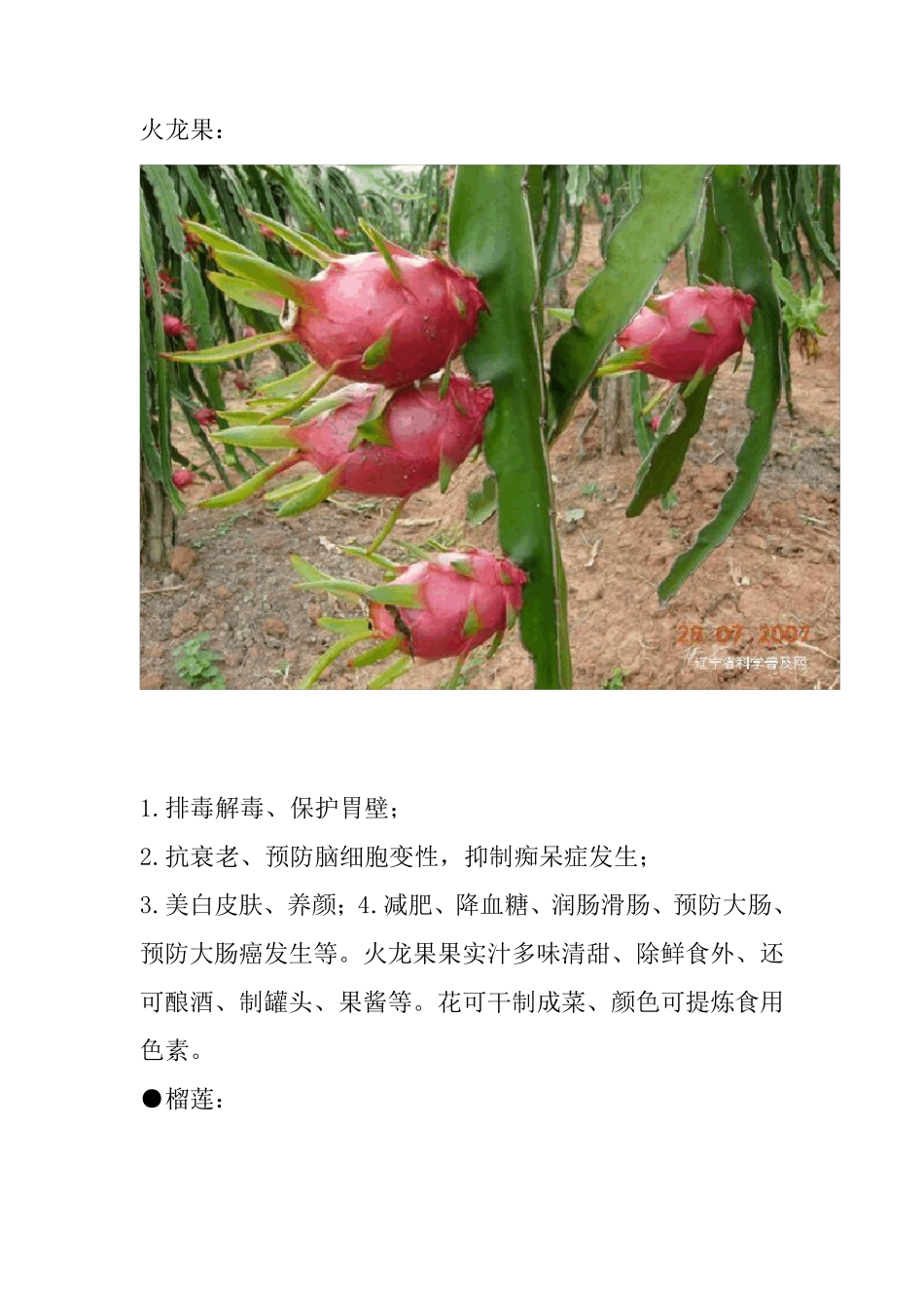 各种水果功效带图_第1页