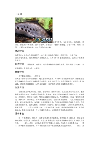 各种热带鱼的饲养