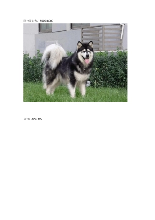 各种狗狗及价格,喜欢可以收藏