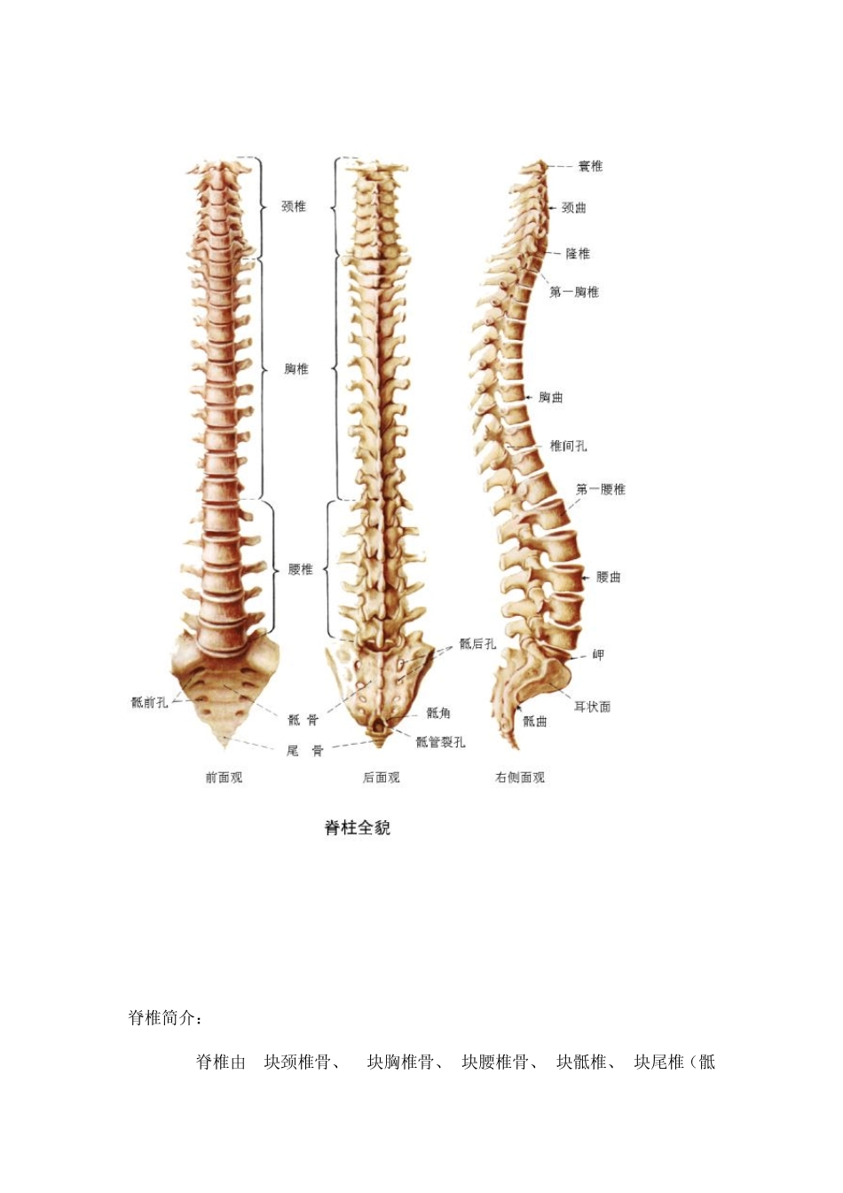 各种痛症的真实原因_第2页