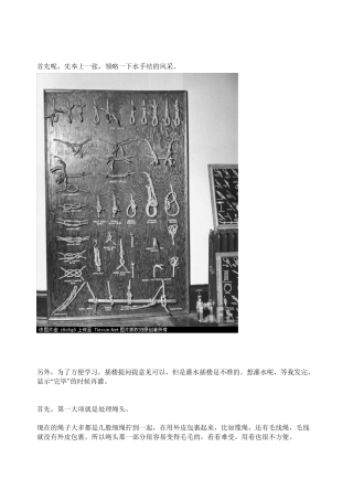 各种绳结打法(有水手结)