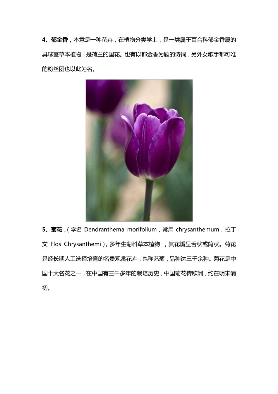 各种花卉图片及简介_第3页