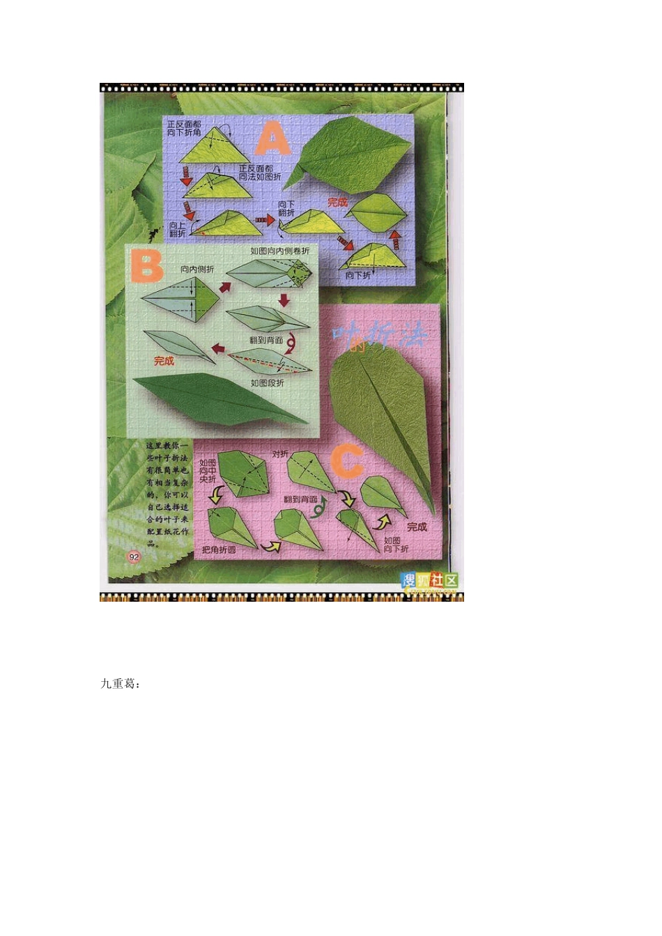 各种花的折纸方法+50种纸玫瑰折法_第2页