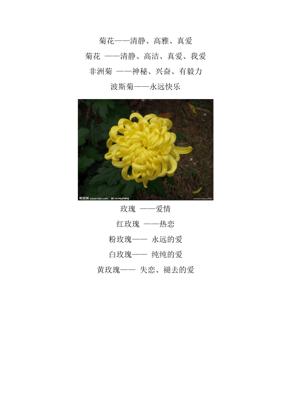 各种花语大全_第3页