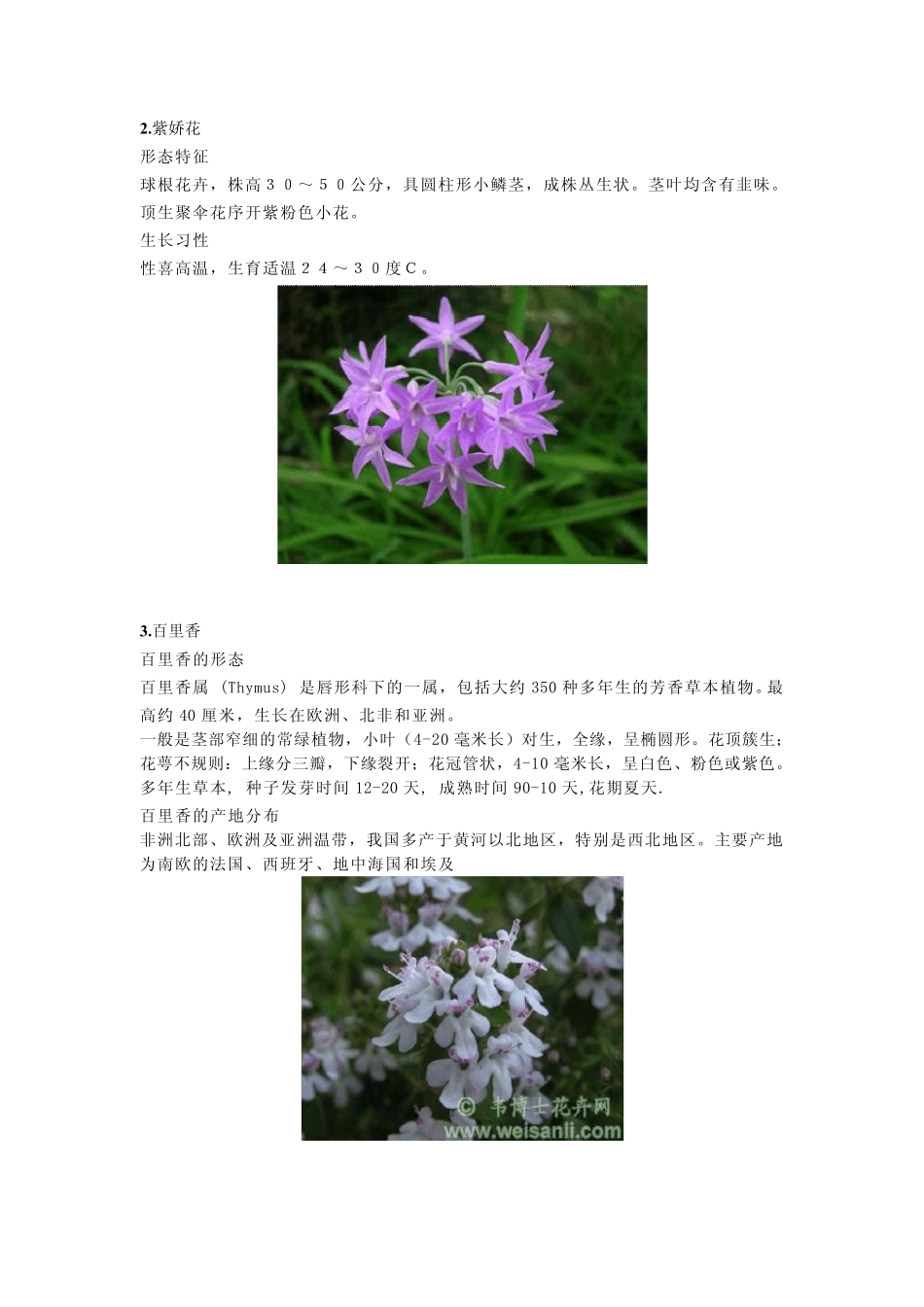 各种花镜植物解析图_第2页