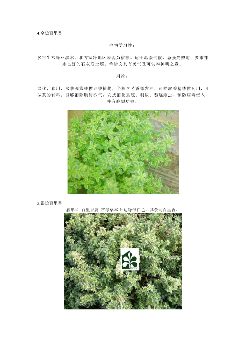 各种花镜植物解析图_第3页